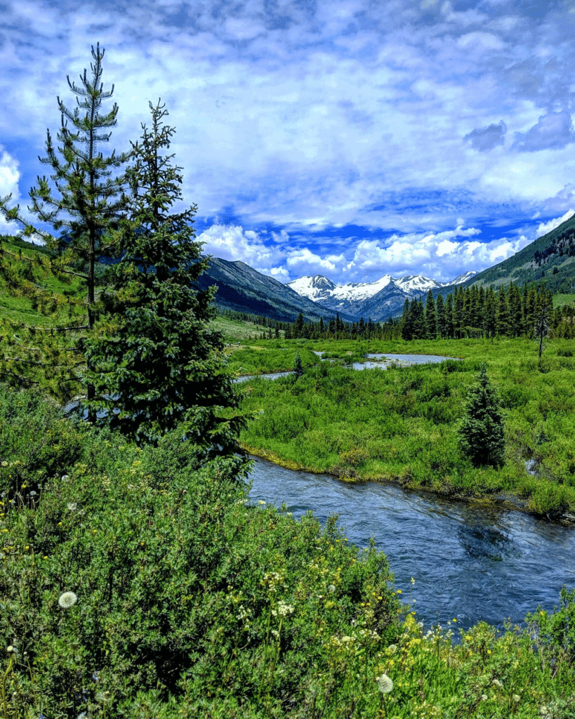 A river flows through a beautifully green and lush valley