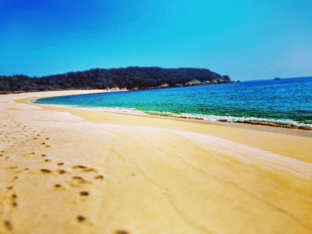 Lapping waves on a sun-soaked beach.