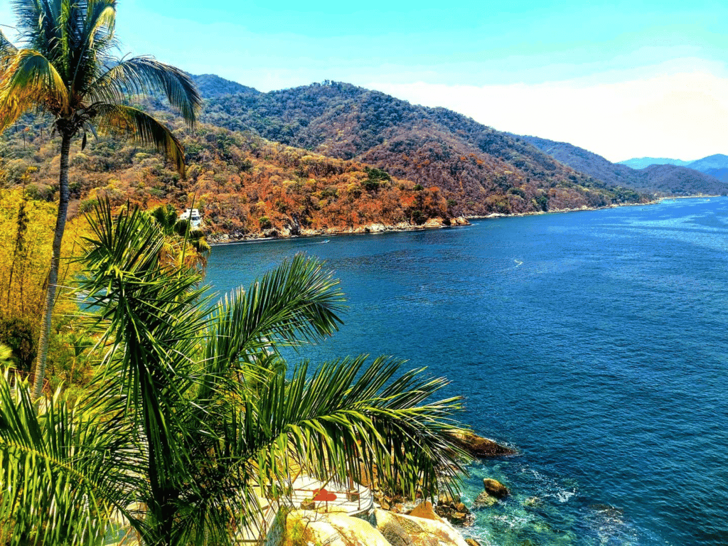 Overlooking a blue bay flanked by palm trees.