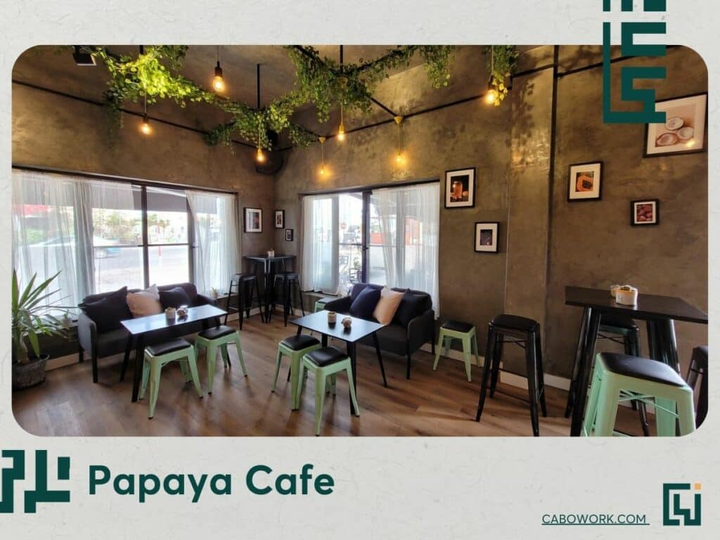 papaya-cafe Espaços de trabalho partilhado e cafés no clima temperado e irresistível de Cabo Verde (best locations)