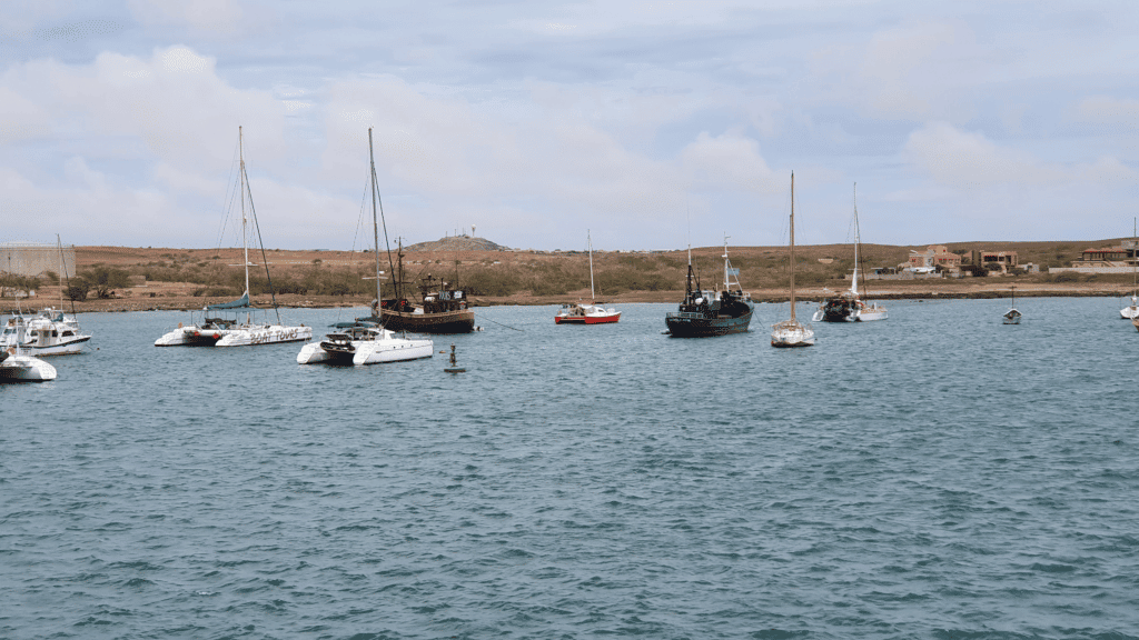 Cruising on a catamaran is a great way to spend a day