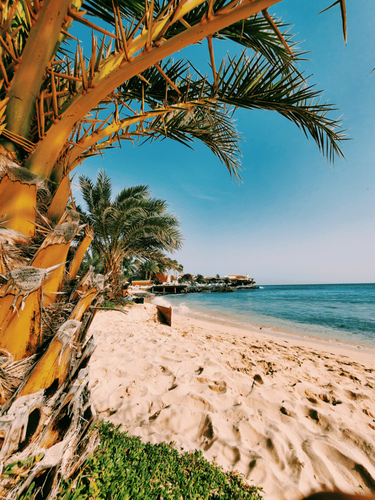 A beautiful and golden beach found in Cape Verde