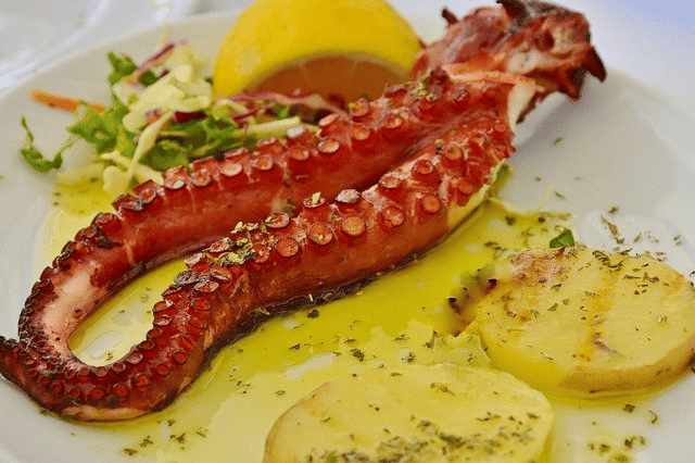 Grilled octopus with lemon juice is a tasty dish you can find in Santa Maria!