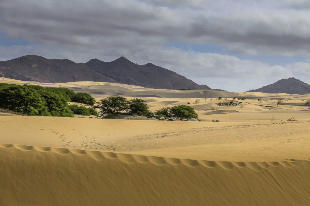 Boa Vista's beautiful desert.