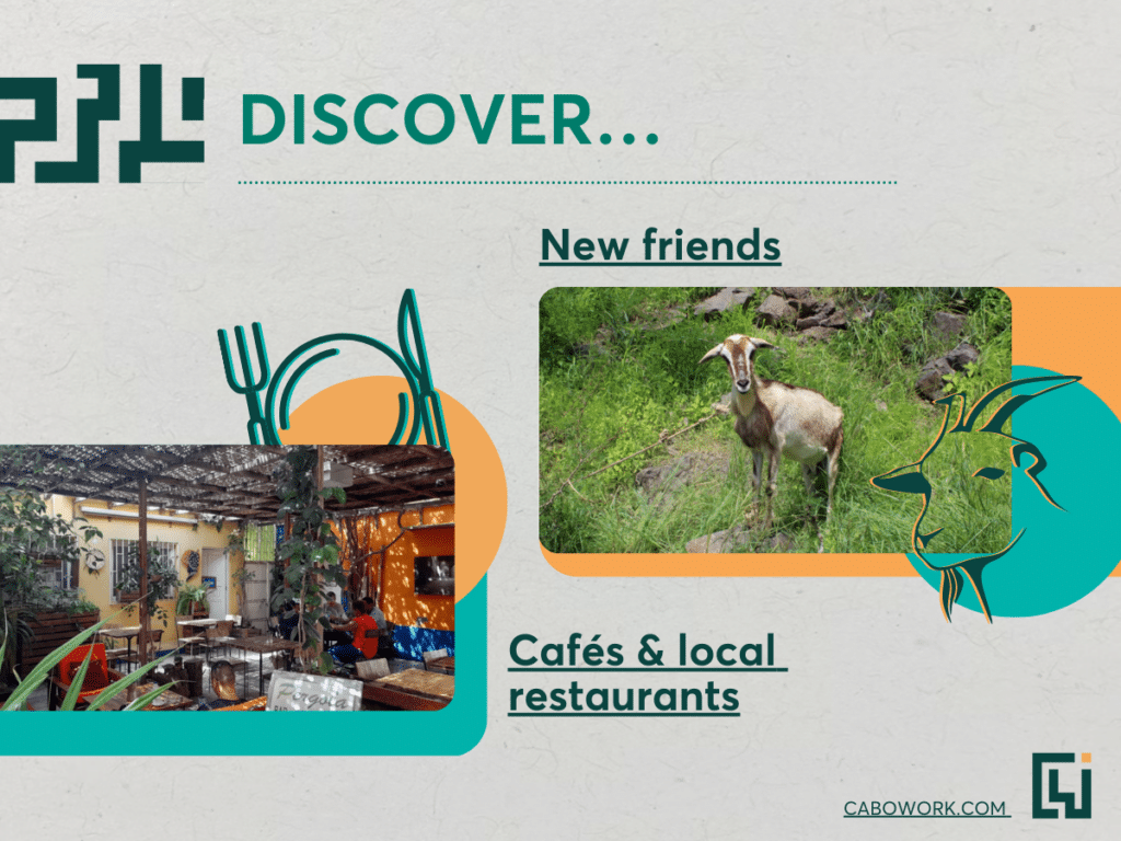 Discover cafes and new friends.