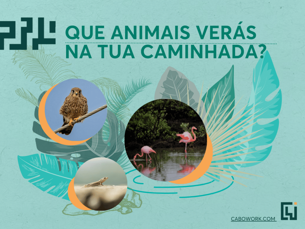 fauna e flora de Cabo Verde