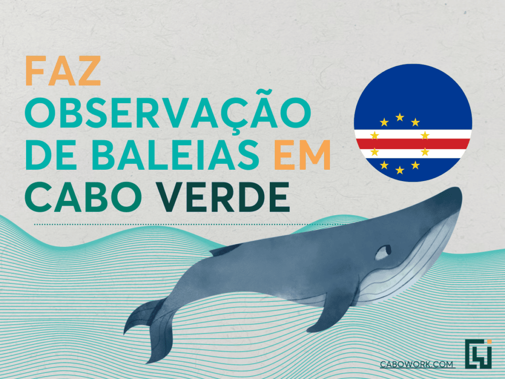 Cabo Verde e a observação de baleias - Observação de Baleias em Cabo Verde.