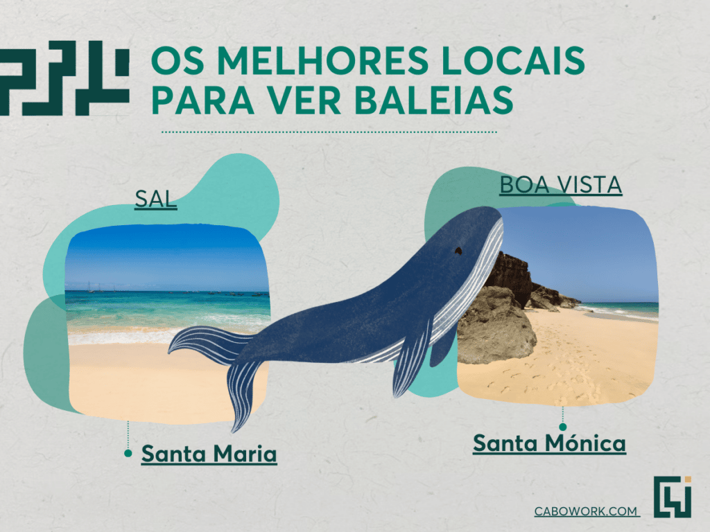 Observação de baleias em Cabo Verde - os melhores locais. 