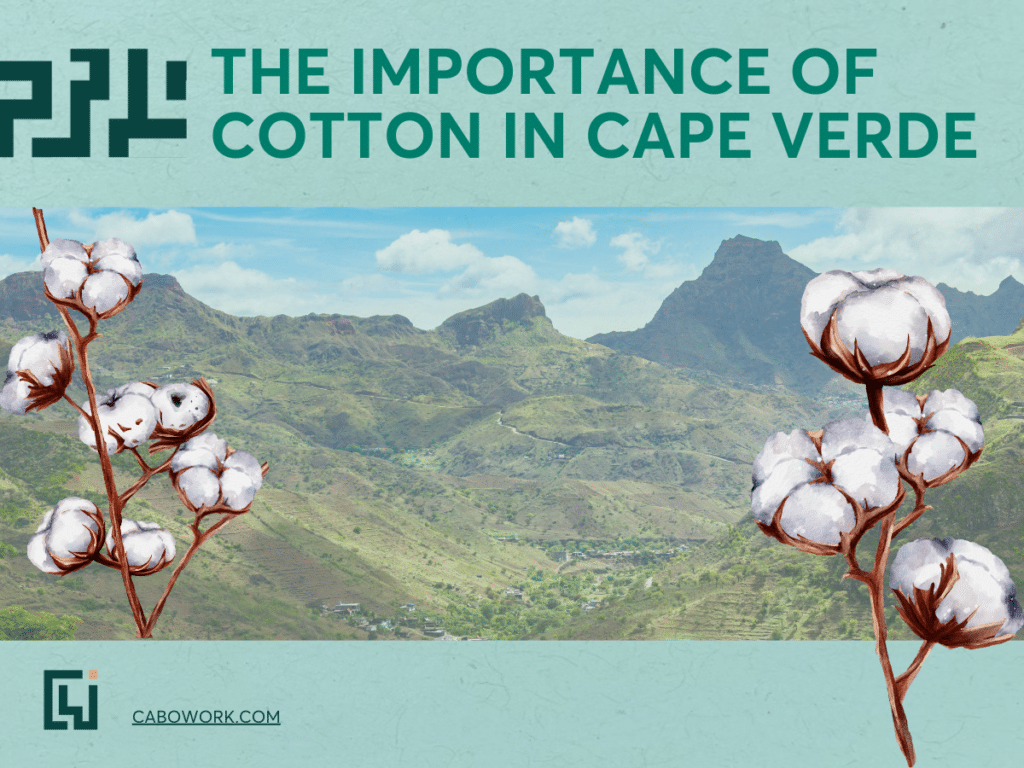 What to Wear in Cape Verde: Cotton was a valuable commodity in trade due to its ease of exchange.