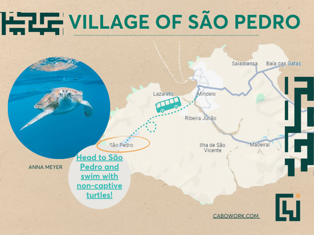 Swim with a diverse range of turtles in São Pedro, São Vicente Island, during a weekend in Mindelo.
