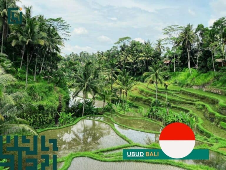 Ubud, Bali is a famous digital nomad destination for a reason!